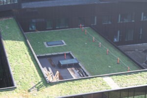 Grønne Taghave forberedelse