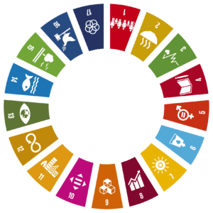FN'S 17 VERDENSMÅL FOR BÆREDYGTIG UDVIKLING