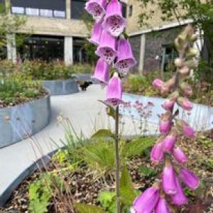 Gustav Johansens vej