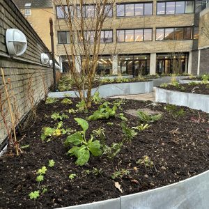 Gustav Johansens vej