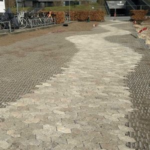 Klimahaven på Grønjordskollegiet